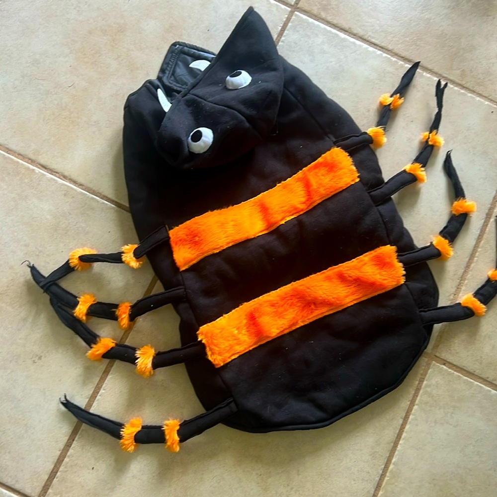 Large Pet spider Costume!